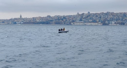 Üsküdar İskelesi’nde ölü yunus bulundu