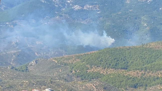 Kazdağları’nda orman yangını
